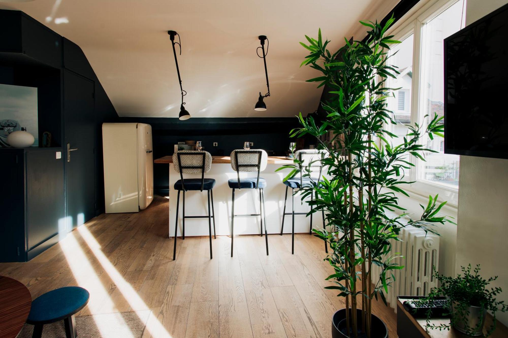 Loge Du Pre Carre - Hypercentre Apartment Анси Екстериор снимка